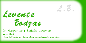 levente bodzas business card
